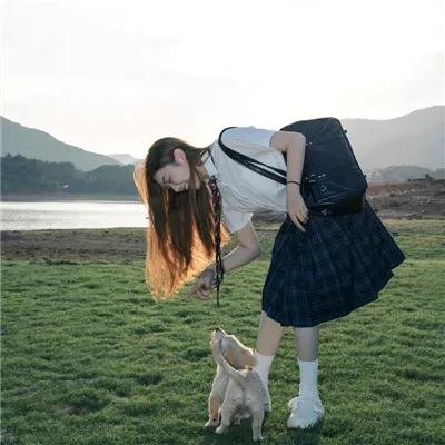 雾水总统
